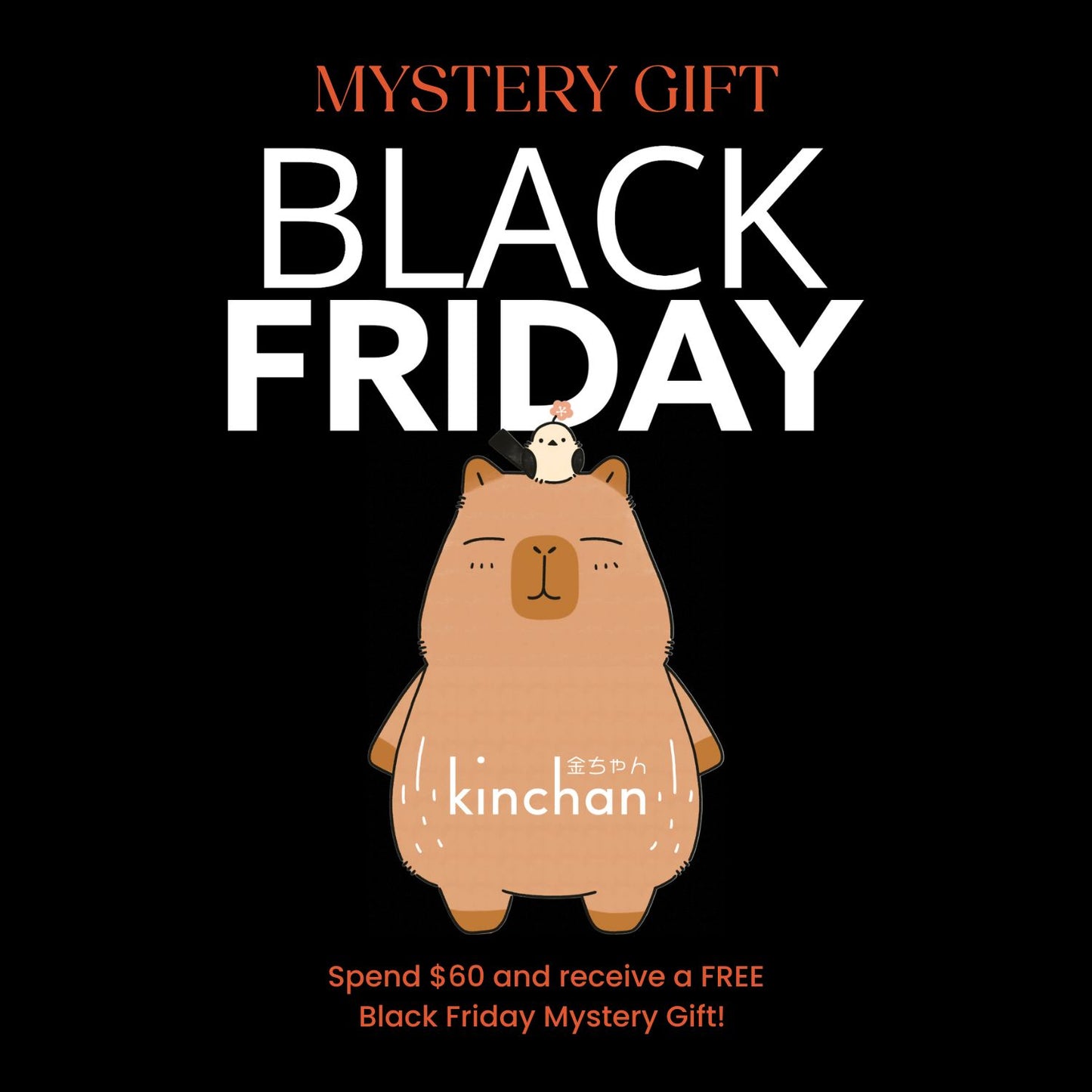 Black Friday Mystery Gift
