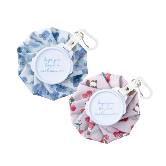 Portable Ice Pack Bag