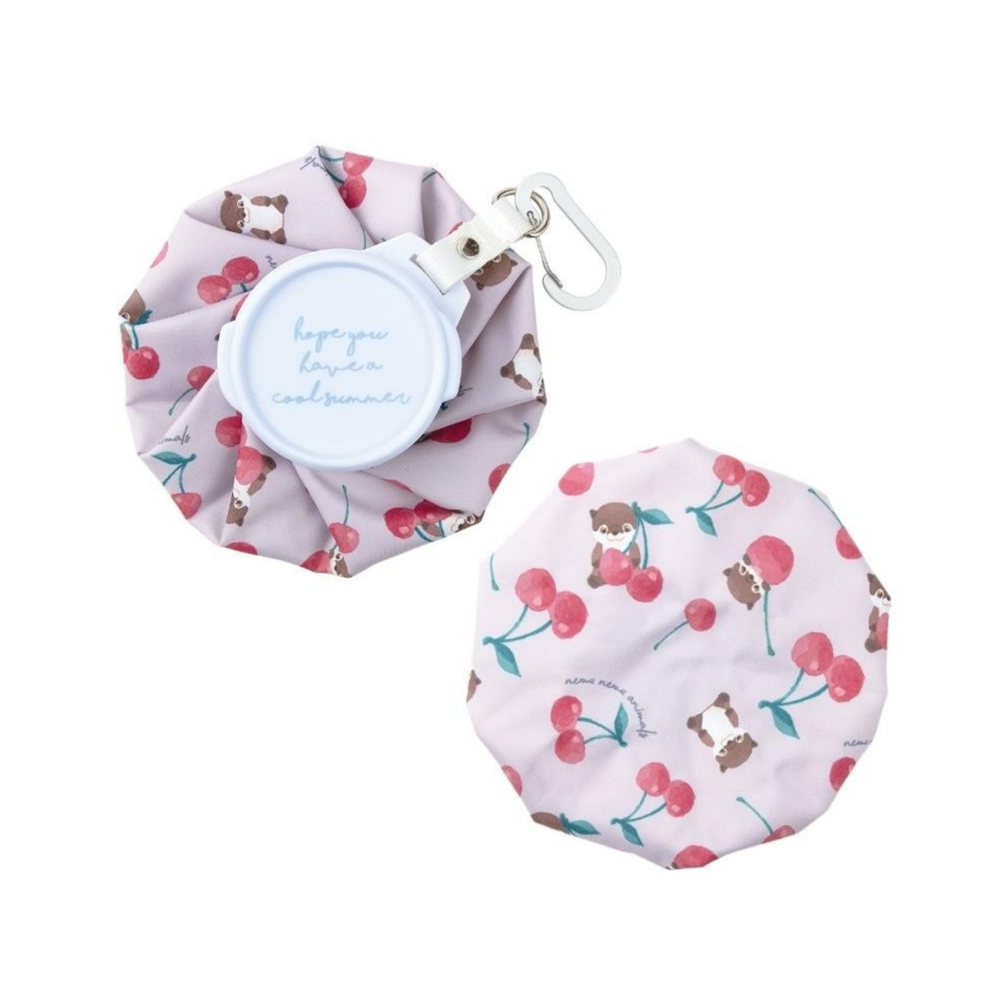 Portable Ice Pack Bag