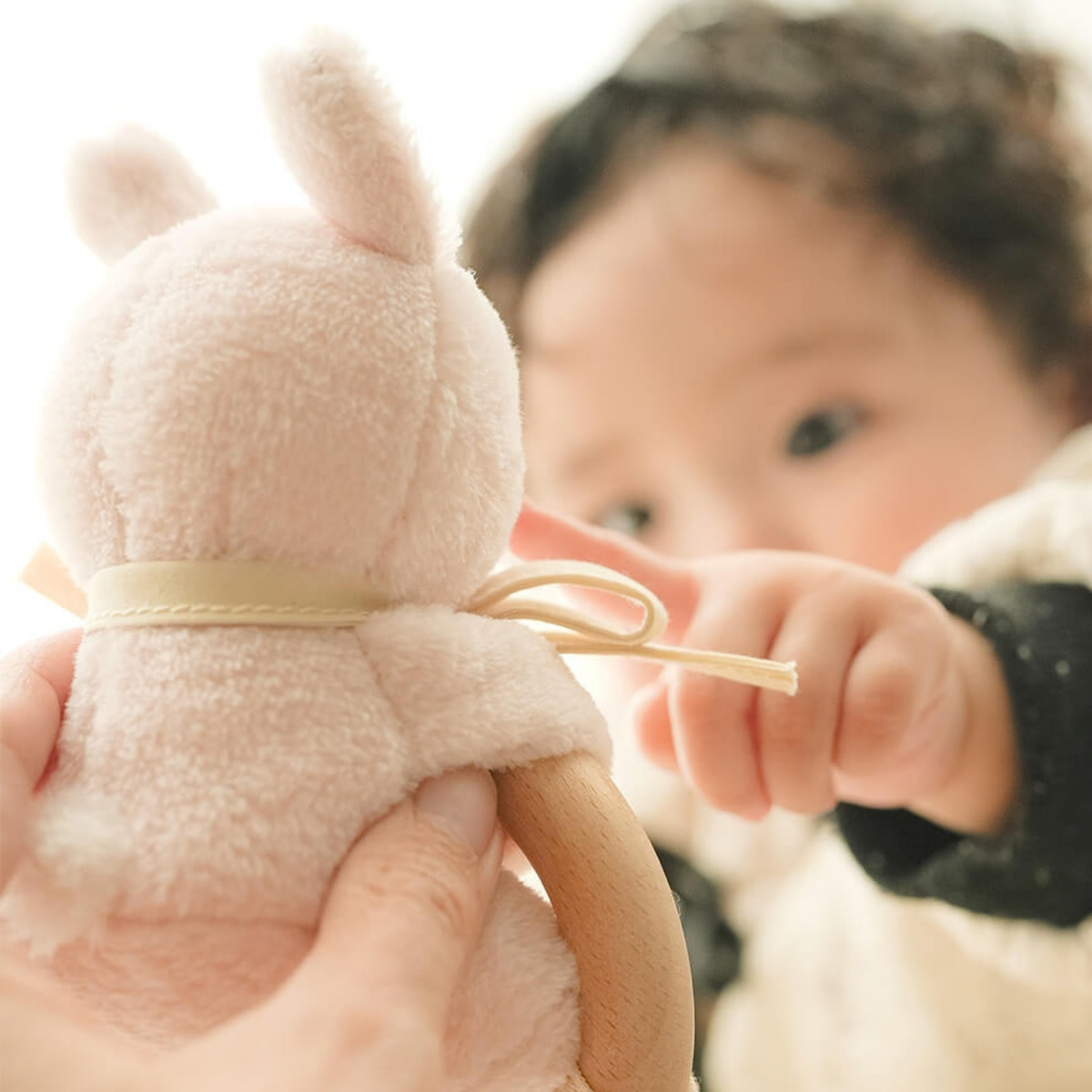 The Fluffy Rattle