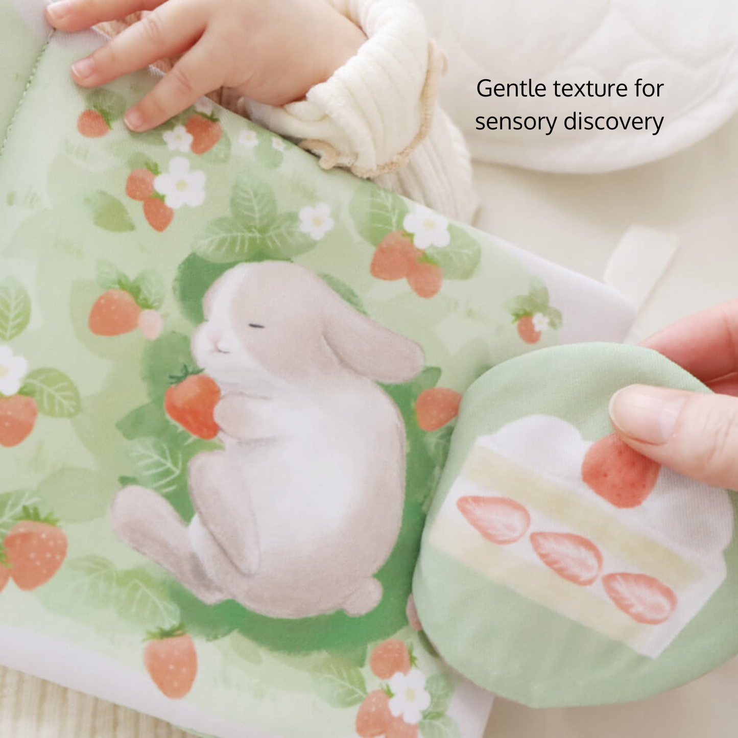 The Fluffy Book Series - Tea Party for Rabbits