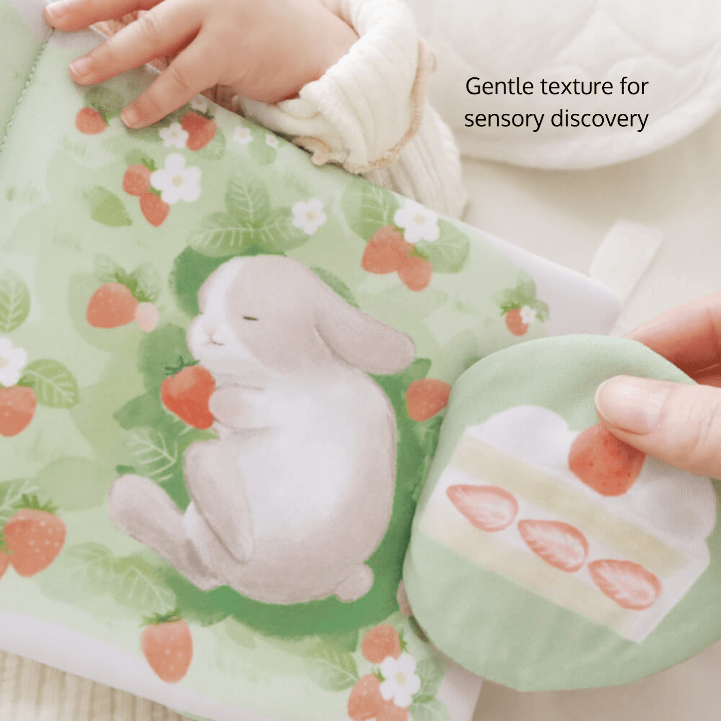 The Fluffy Book Series - Tea Party for Rabbits