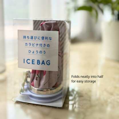 Portable Ice Pack Bag