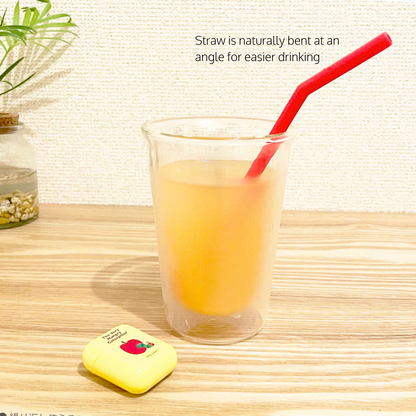 Reusable Straw With Case