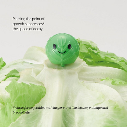 Cabbage Freshness Preservation Pick (Set of 3)