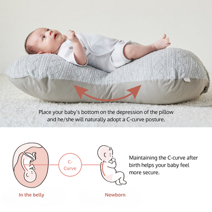 Pregnancy & Nursing Pillow