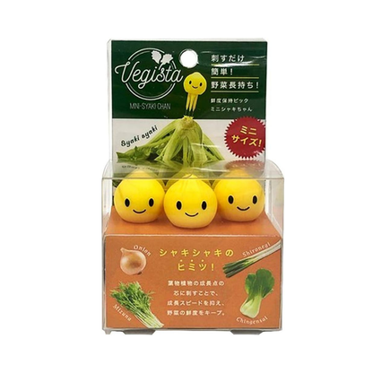 Leafy Vegetables Freshness Preservation Pick (Set of 3)