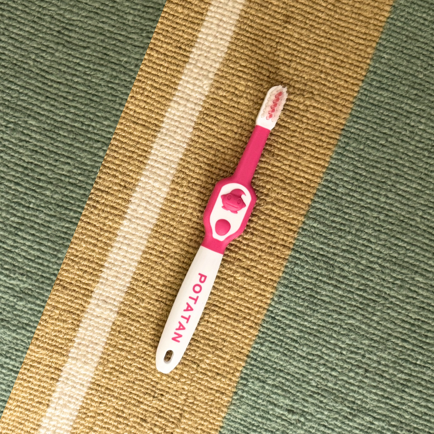 Ion & Antibacterial Toothbrush